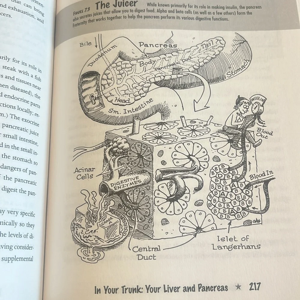 You: The Owner's Manual Book